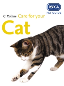 Image for Care for your cat