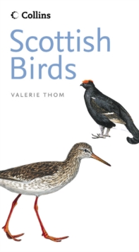 Image for Scottish birds