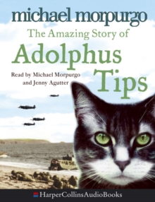 Image for The amazing story of Adolphus Tips