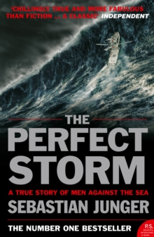 Image for The perfect storm  : a true story of man against the sea