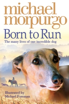 Image for Born to Run