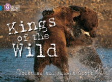 Image for Kings of the Wild