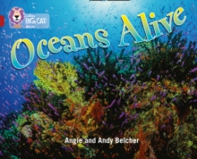 Image for Oceans Alive