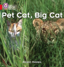 Image for Pet Cat, Big Cat : Band 02a/Red a