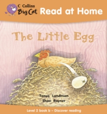Image for The little egg