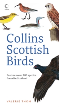 Image for Collins Scottish birds