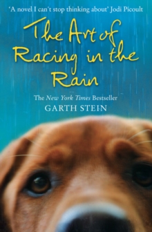 Image for The art of racing in the rain  : a novel