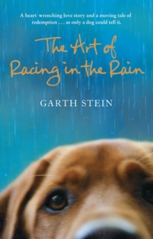 Image for The Art of Racing in the Rain