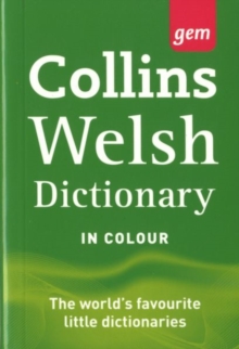 Image for Welsh dictionary
