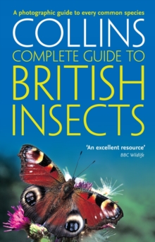 Image for Collins complete guide to British insects