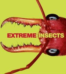 Image for Extreme Insects