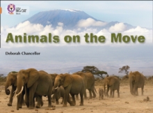 Image for Animals on the move