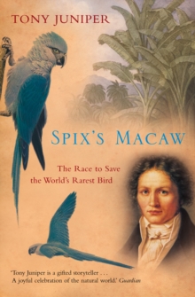 Image for Spix's Macaw: the race to save the world's rarest bird