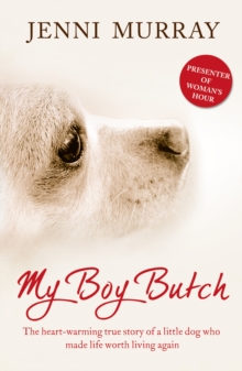 Image for My boy Butch: the heart-warming true story of a little dog who made life worth living again