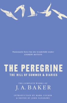 Image for The peregrine  : The hill of summer