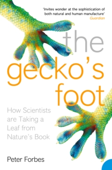 Image for The gecko's foot: how scientists are taking a leaf from nature's book