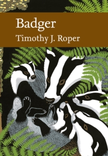 Image for Badger