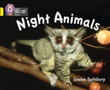 Image for Night animals