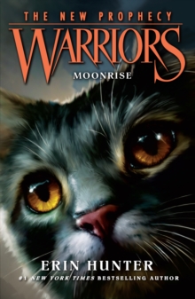 Image for MOONRISE
