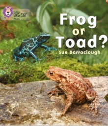 Image for Frog or toad?