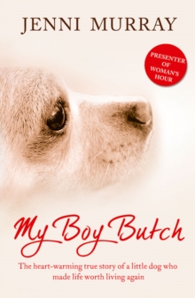 Image for My Boy Butch