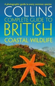 Image for British coastal wildlife