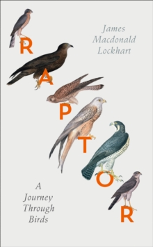 Image for Raptor  : a journey through birds