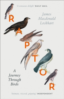 Image for Raptor