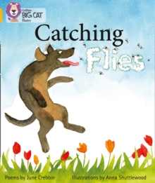 Image for Catching flies  : poems