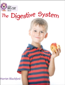 Image for The digestive system