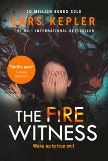 Image for The fire witness