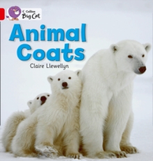 Animal Coats Workbook