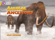 Image for Animal Ancestors