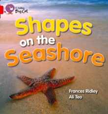 Image for Shapes on the Seashore