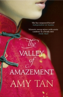 Image for The valley of amazement