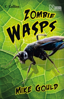 Image for Zombie wasps