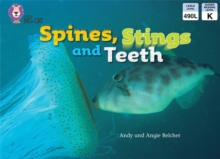 Image for Spines, Stings and Teeth: Band 05/Green