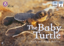 Image for The Baby Turtle: Band 03/Yellow