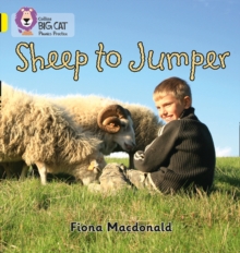 Image for Sheep to Jumper