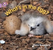 Image for What's in the egg?