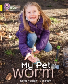 Image for My Pet Worm