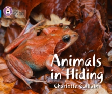 Image for Animals in hiding