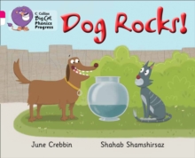 Image for Dog rocks!