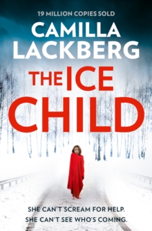 Image for The ice child