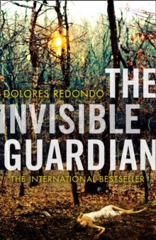Image for The invisible guardian