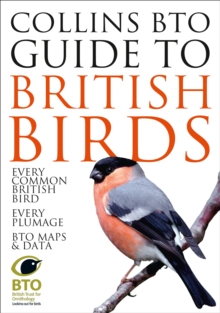 Image for Collins BTO guide to British birds