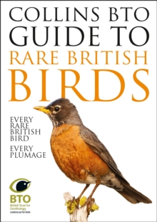Image for Collins BTO Guide to Rare British Birds