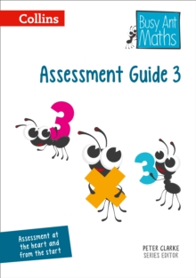 Image for Busy ant mathsAssessment guide 3