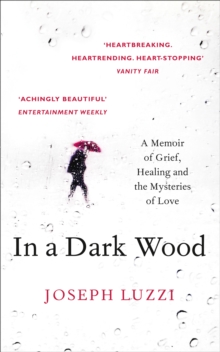 In a Dark Wood