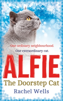 Image for Alfie the doorstep cat